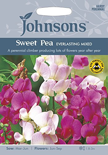 Johnsons 16670 Flower Seeds, Sweet Pea Everlasting Mixed, Pink,White