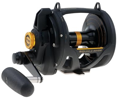 PENN 1292938 Squall Lever Drag 2-Speed Trolling Fishing Reel, 890/50, black, IGFA50, SQL50VSW