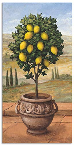 ARTland Wanddeko Wandbild Alu Verbundplatte für Innen & Outdoor Bild Toskana Zitrone Baum Italien Landschaft Mediterran Botanik Terracotta T4MN
