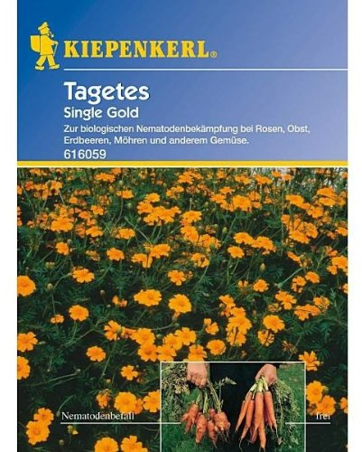 Kiepenkerl Tagetes, Nematodenkiller 'Single Gold'