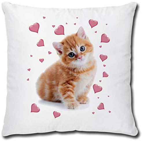 TRIOSK Kissen mit Katze Katzenmotiv Rosa Herzen lustig Katzen Geschenk für Katzenliebhaber Frauen Mädchen Freundin Valentin Dekokissen 40x40