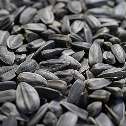 Graines de tournesol noires 20 kg, nourriture pour oiseaux, nourriture pour oiseaux en hiver