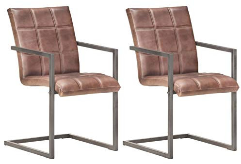 CIADAZ Freischwinger 2 STK Esszimmerstühle, Stühle Set, Küchenstühle, Besucherstuhl, Stühle Esszimmer, Bankettstühle, Essensstuhl, Braun Echtleder