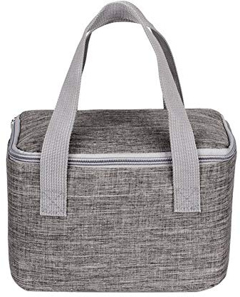Panlom® Petit Sac Isotherme 6 canettes/4 L - Sac à déjeuner carré Pratique - Boîte à déjeuner Isotherme pour Adultes - Travail - Excursion d'une journée
