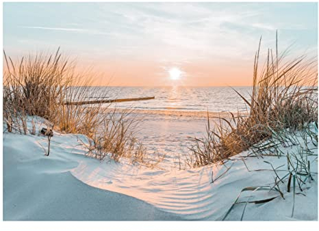 WallArena - Vlies Fototapete Strand Meer Nordsee Dünen Sonne Panorama Natur 368x280 cm - Fototapeten - Tapeten - für Wohnzimmer Schlafzimmer - Vliestapete Wandtapete Tapete 3D Effekt- inkl. Kleister