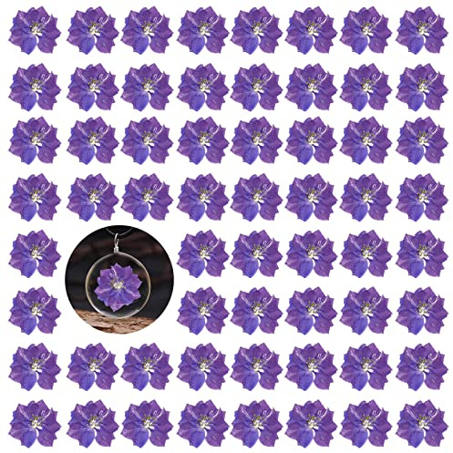 Purple Pressed Dried Larkspur Flowers, 60PCS Natural Real Dried Pressed Delphinium Flowers, Dry Flowers for Resin Art DIY Craft Ornament Candle Making