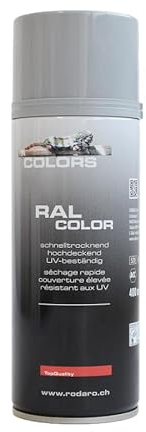 COLORS Sprühlack - 400ml Spraydose - Sprühfarbe für alle Oberflächen, Innen und Aussenbereich, Tolle Deckkraft | RAL7001 - Silbergrau Glanz