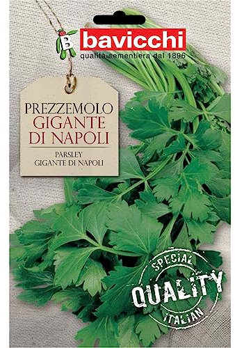Bavicchi VPZ02 Busta semi Prezzemolo gigante di Napoli