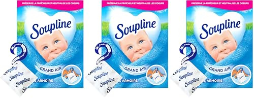 SOUPLINE Sachets Armoire Rafraîchissants, Parfum Air Frais, Désodorise et Parfume votre Linge Pendant 6 Semaines, Neutralise les Odeurs, 1 Boîte avec 3 Sachets (Lot de 3)