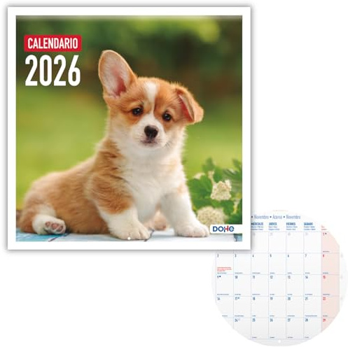 Dohe - Väggkalender 2026-12 månader januari till december, månadsvy, 30 x 30 cm, spanskt språk, häftbindning, utrymme för anteckningar, årsplanering, tjockt papper 120 gr/m² - hundar