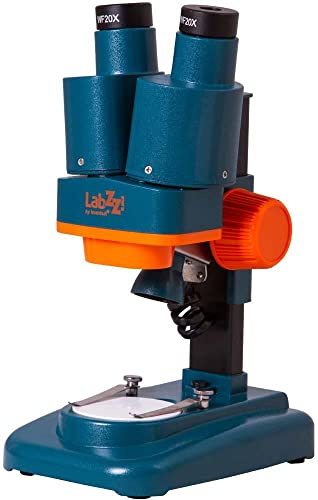 Microscopio stereoscopico per ragazzi Levenhuk LabZZ M4 per Osservare Monete, Minerali, Insetti, Piante e Altri Oggetti