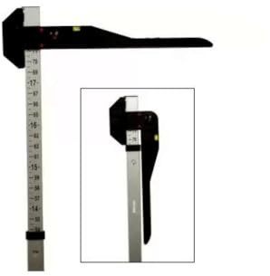 Horse Measuring Stick by Gatsby