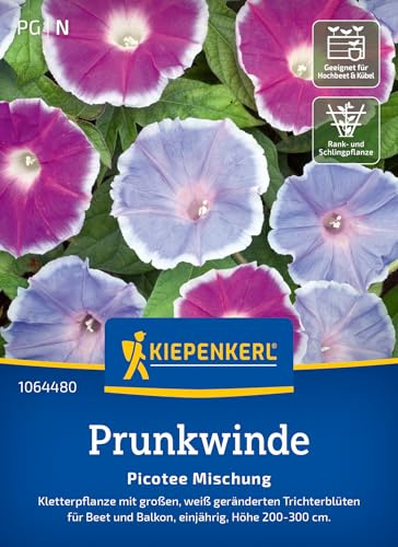 Kiepenkerl Prunkwindensamen Picotee Mischung 1064480, Blumensaat | Kletterpflanze mit großen, weiß geränderten Trichtern, Blumensamen Mischung, einjährig, für Beet & Kübel