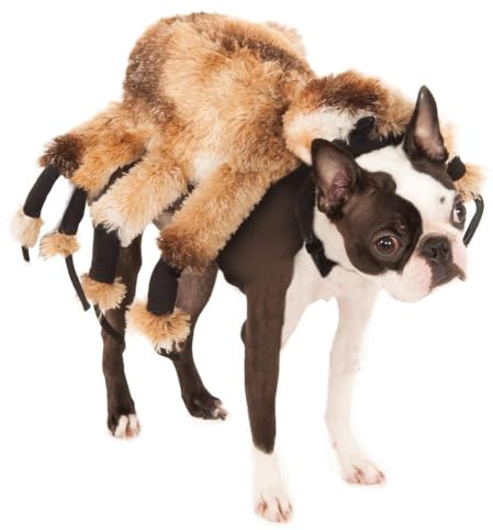 Officiell Rubie's Giant Spider Pet Dog Halloween kostym, Medium, flerfärgad