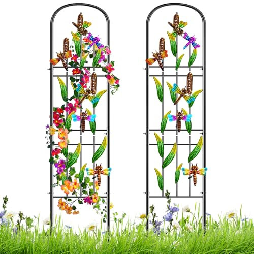 2 Pack Garden Trellis for Climbing Plants Outdoor, Metal Plant Trellis Vine Frame Support for Potted, Decoration Plant Wall Brackets Lattice for Indoor Flowers Vegetable Fruits Rose (Dragonfly)