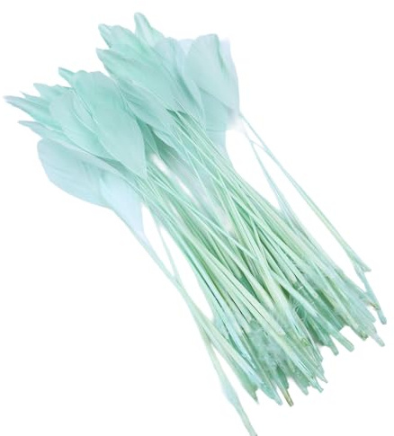 Whakano 50 Stück Federn zum Basteln Deko Federn Bastelfeder 15-20cm Länge,Federn für DIY Kunsthandwerk,Karneval,Ostern,Weihnachten,Hochzeit Dekorationen,Heimdekorationen,Mintgrün