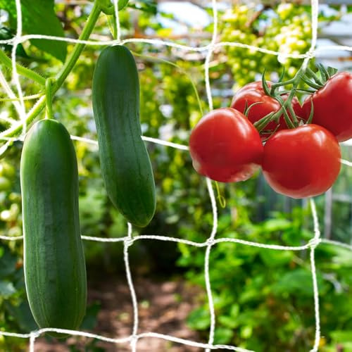 Red de enrejado para plantas trepadoras, enrejado para enrejado, red para plantas, red de escalada, para jardín, pepinos, plantas trepadoras, frijoles (blanco, 5 x 1,67 m)