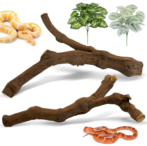 Apatal Snake Climbing Branch 2 Pcs Reptile Wood Branches Decor Wooden Ball Python Tank Accessories Bearded Dragon Terrarium Decorations Natural Forest Tree Trunk Log Habitat Ornament