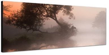 Augenblicke Wandbilder Keilrahmenbild Wandbild 150x50cm Fluss Baum Nebel Morgendämmerung