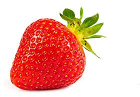 10 Favori Erdbeerpflanzen - Powerplug Pflanzen - Immertragend - Pflanzzeit: März/April - Ernte: Juni bis September - Erdbeersetzlinge/Erdbeerstecklinge - Erdbeeren von Erdbeerprofi.de