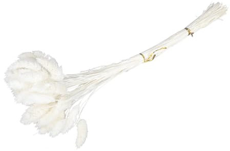 PRETYZOOM 50pcs Rabbit Tail Dried Flowers Creative Plant Ornament Lifelike Home Decor