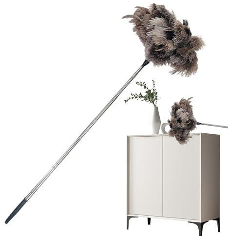 Plumero Extensible - Mopa para Desempolvar Ventiladores De Techo 100 Cm | Plumero De Plumas Largo Multifunción para Muebles, Electrodomésticos, Eliminación De Telarañas Y Limpieza De Techos