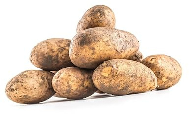 My Exotic Fruit