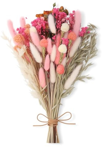 saerryor 43 Pcs Natural Dried Flowers, 10 Kinds of Dried Flowers Set, Decorative Dried Flowers for DIY Dried Flower Bouquet, Vase Decoration