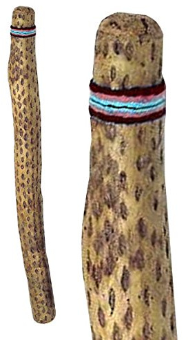 Terré Regenmacher aus Chile Länge 150 cm Ø 6-8 cm braun Kaktus-Holz Kaktus Rainmaker