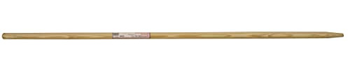 Skana – Holzstiel für Haushaltsbesen – gerader Griff Ø 24 mm – Länge 120 cm – Hartholz geschliffen – gebrauchsfertig
