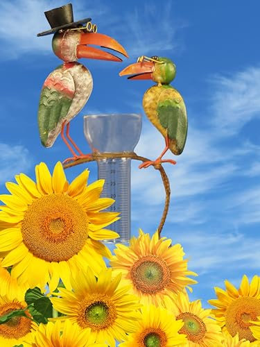 Pommerntraum ® | Regenmesser Niederschlagsmesser Pluviometer Gartenstecker Rostoptik Prof. Dr. Rabe mit + Meisenknödelhalter nützliche Gartendekoration (Rabe + Sohn bunt)