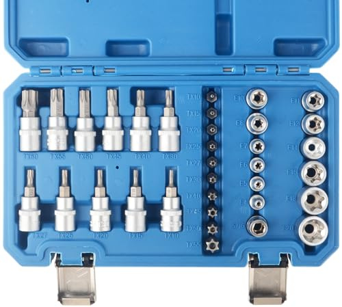 DAYUAN 34tlg Innen Außen Torx Steckschlüssel und S2 Bit Satz Sechskant | E4-E20 Nuss, T10-T60 Torxsatz, Stecknüsse Biteinsätze Steckschlüsseleinsätze