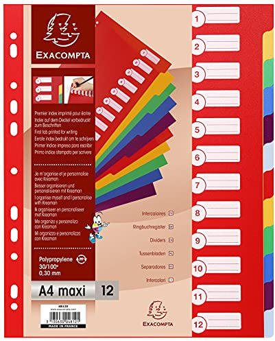 Exacompta Register PP stabil opak 12 Taben blanko A4 Maxi
