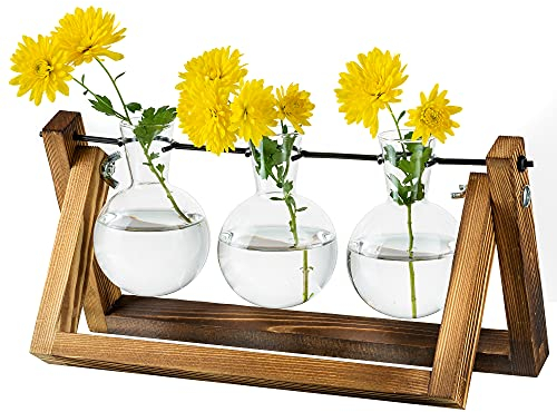 Glasseam Vermehrungsstation Für Pflanzen Upgrade Zwiebel Vase Pflanzer Mit Holzständer Glas Blumentopf Innen Für Tischdekoration Vintage Home Office Zubehör, 3 Zwiebeln