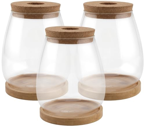 HAKZEON Pflanzen-Anzuchtgläser, Terrarium, Glasvase mit Deckel und Holztablett, Glas-Pflanzgefäß, Hydrokultur-Vase für Wasser, Luftpflanzen, Innenbereich, Monstera, Orchidee, Dekoration, 3 Stück