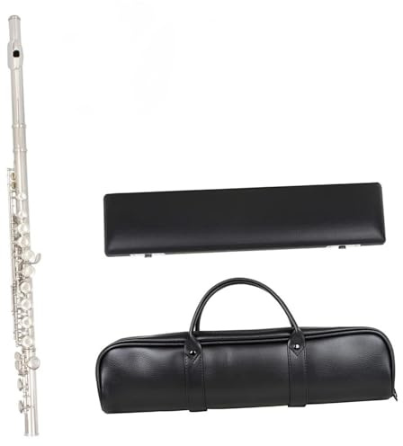 Flöte Für Anfänger Flöte Mit 16 Löchern Versilbert C-Taste Flöte Musikinstrumente Handtasche Lederbox Wischerzubehör