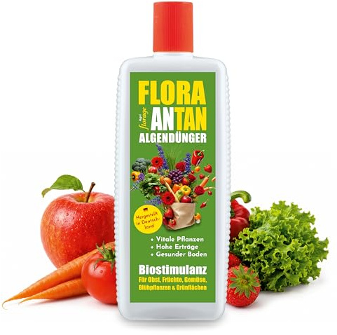Flora Antan Algendünger Biostimulanz 1 L Universaldünger flüssig | Dünger für Obst, Gemüse, Bäume & Pflanzen aller Art, fördert kräftiges Wurzelwachstum, Made in Germany, 500 L Gießlösung