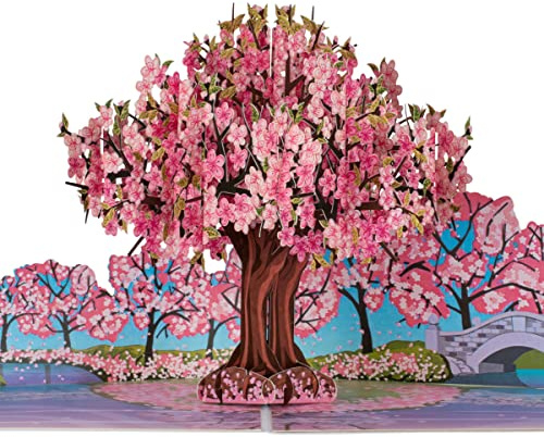 Cardology - Pink Cherry Blossom Pop-Up Card | Mothers Day, Birthday Cards For Her or Valentines Day