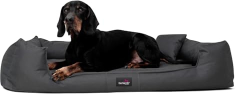 tierlando® Orthopädisches Hundebett Goofy für große Hunde XL bis XXXL mit waschbarerem Polyester-Bezug, ideal bei Gelenkproblemen Größe: 110x90cm | Farbe: 02 Graphit