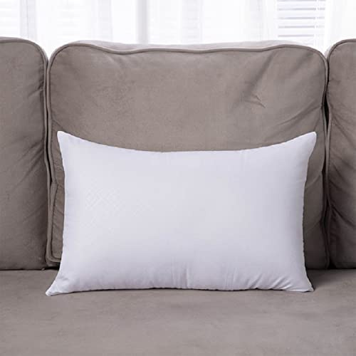 GREATOYAR Relleno de Cojín 40 x 60 cm, Cojines de Sofá o Cama, Relleno con Fibra Hueca de Alta Recuperación, Mullido Indeformable, Antialérgico, Suave e Indeformable, Hipoalergénicas, 1 Unidad