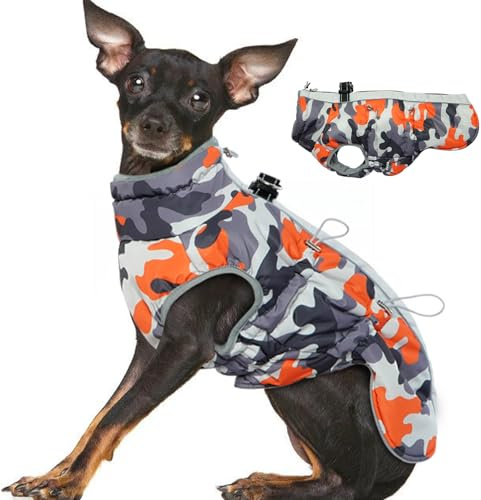 Katzinst Wintermantel für Kleine Hunde, Ärmellose Hundeanorak mit Durch Verstellbare Gummizüge und Rutschfester Reißverschluss, Hundemantel Reflektiert im Dunkeln, Zwergspitz, Bichon Frisé, Orange, XS