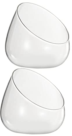 SOIMISS Botellas De Vidrio para Micropaisajes 2 Pcs Organizador De Cocina Multifuncional Maceta De Cristal para Suculentas Transparente Boca Oblicua Decoración y Cultivo Hidropónico