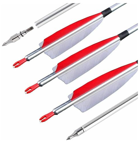 PYMUST 12 flèches en Aluminium pour tir à l'arc, 31 Pouces, rigidité 500, avec Pointes Amovibles et empennage en Plumes Naturelles, flèches de tir pour arcs à poulies et arcs Classiques (Red)