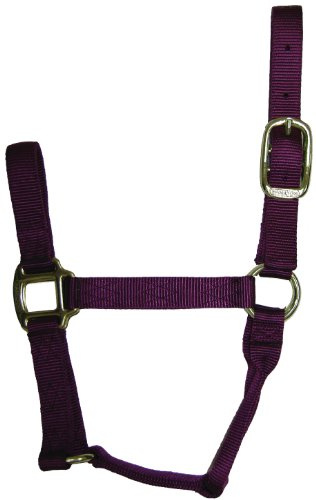 Hamilton 1 Nylon Quality Horse Halter, Yearling Size (300-500 lbs), Wine