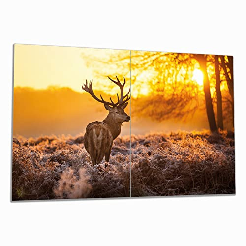 Wallario Herdabdeckplatte/Spritzschutz aus Glas, 2-teilig, 80x52cm, für Ceran- und Induktionsherde, stattlicher Rothirsch im Morgengrauen