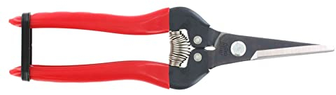 ARS Fruit Picking Shears - 190mm | Garden Scissors for Fruit Picking, Great Garden Tool with Straight Blade, Precision Clippers with Non-Slip Grip | Red Handle