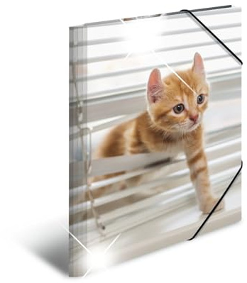 HERMA Sammelmappe A3 Katzen, Kinder Eckspanner-Mappe aus Kunststoff mit Tier Motiv, Hochglanz-Optik, Gummizug, Innenklappen und Innendruck für Jungen und Mädchen