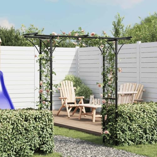 Arche de jardin en fer robuste pour roses et plantes grimpantes comme arche décorative en métal pour le jardin et la véranda