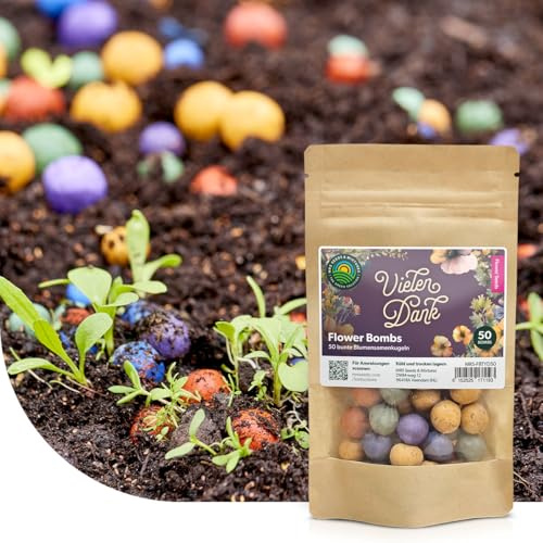 Flower Bombs: Samenbomben mix Vielen Dank! - 50x handgemachte und farbenfrohe ‘Seed Bombs’ - Nachhaltig und 100% ökologisch - Nur ungiftige Pflanzen - Kreative Geschenkidee