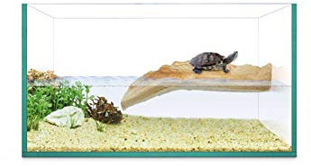 ICA Sköldpadda Ö 30 Reptiselva 2700 g